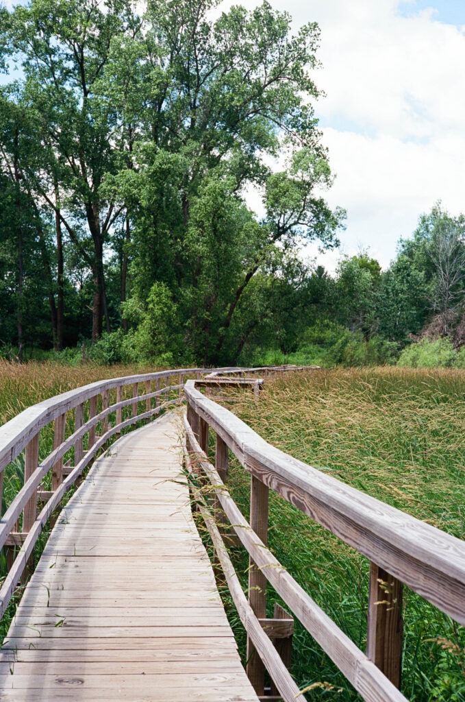 Kari Castor028.jpg
