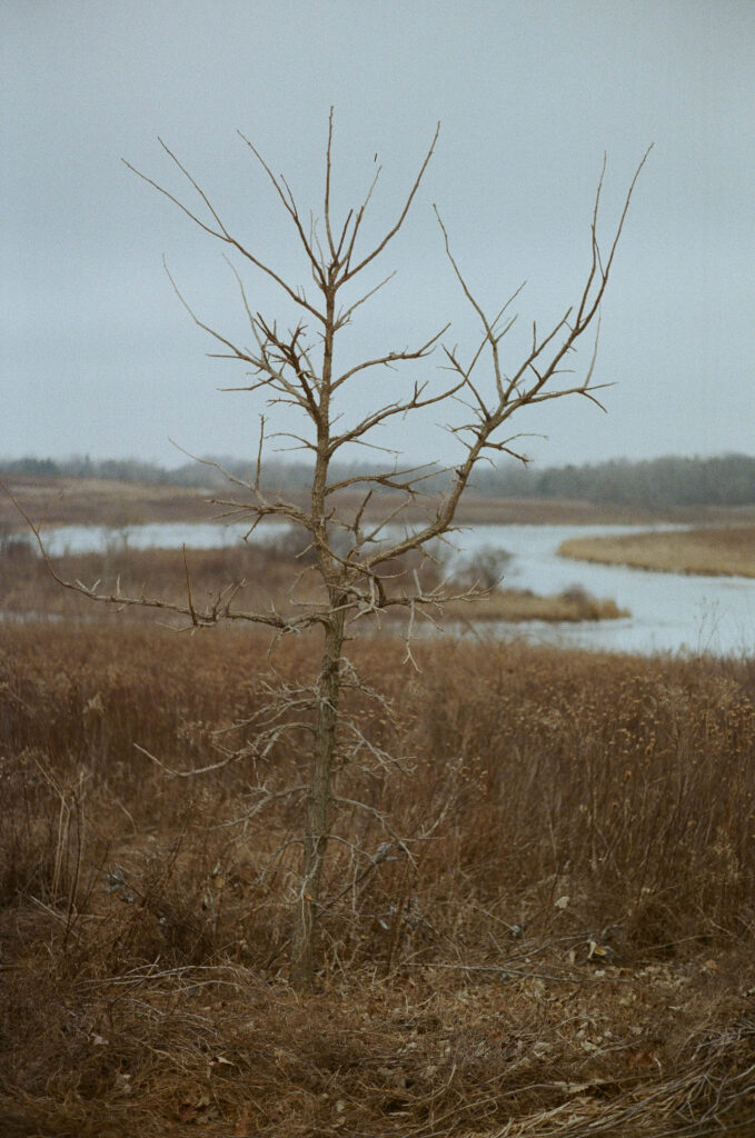 Kari Castor0012.jpg