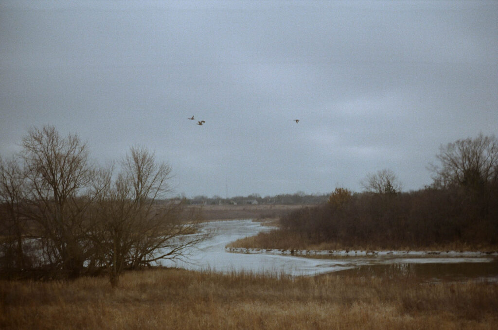 Kari Castor0036.jpg