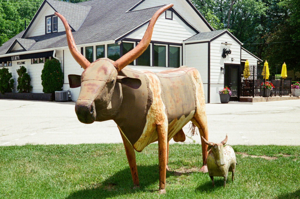 Kari Castor012.jpg