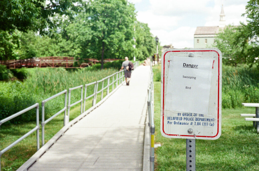 Kari Castor020.jpg