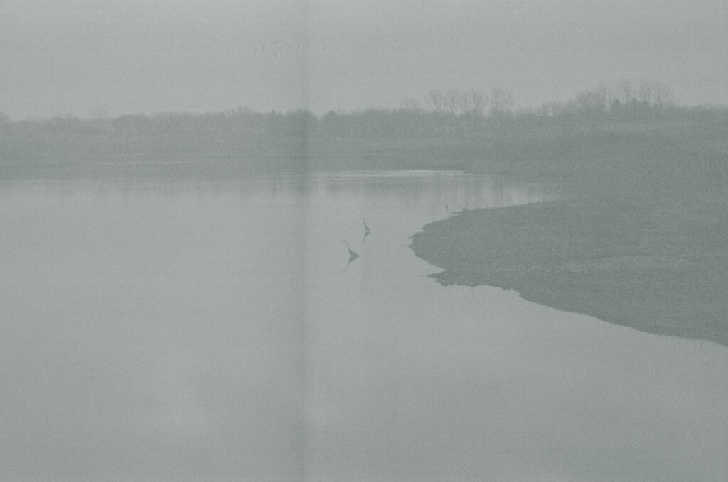 Kari Castor025.jpg