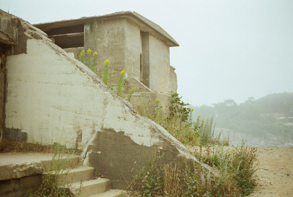 Kari Castor029.jpg